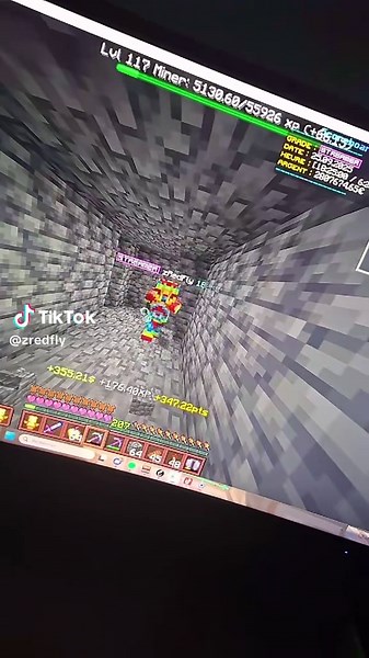 meilleur serveur java #pala #minecraft #pourtoii #wtf #viral