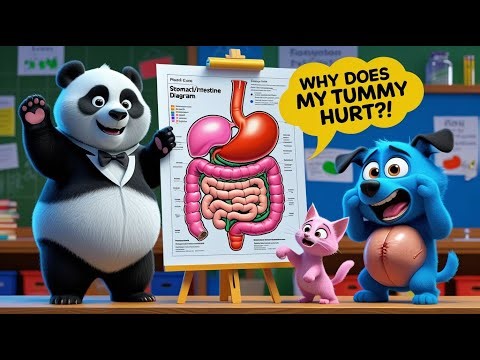 🎵 Why Do We Get Stomach Aches? 🤕 | Fun Educational Cartoon for Kids!