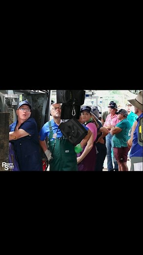 Veterinary Ultrasound Training. | Catagra Group