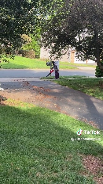 It seems like someone from inside may have unplugged the blower... finally getting some help #crazy #unhinged #crazyneighbor #neighbors #badneighbors