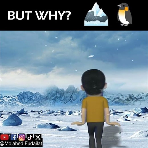 Poor Arman 😔 got the penguin treatment