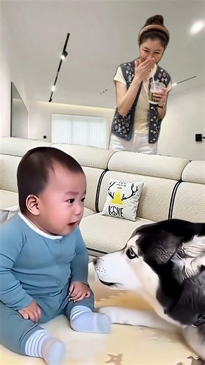 Husky Comforts Crying Baby and Won't Leave Her Side #cute #viral