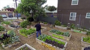 For everybody in and around LA who's been asking us how they can see this movie, now's your chance. Come hang with us and the crew at the Ron Finley Project Friday night June 10th for a special screening of CAN YOU DIG THIS at Vermont Square Library. And y’all can come back the next day on Saturday June 11th for food, gardening, hammocks, and other cool shit for Da FUNction 2016! So see y’all there, it’s gonna be a dope time. | Bad Manners