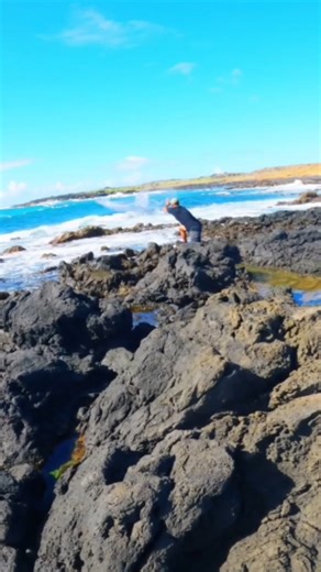 life of a legendary throw neter #fishing