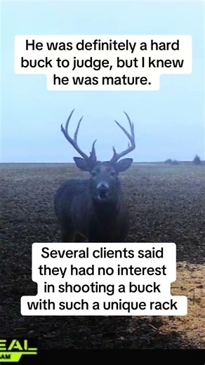 Someone had to do it!#finaldestinationoutfitters #kansas #bigbuck #deer #deerhunting