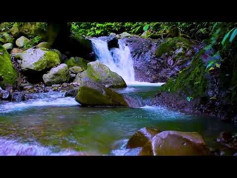 Deep Sleep Therapy 8 Hours of Gentle Mountain Brook Sound Natural White Noise for Rest