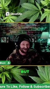 Autoflower vs. Photoperiod: Faster Harvests, More Variety!