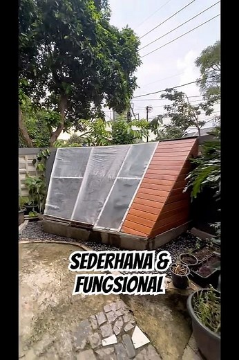 Desain Kandang Ayam untuk Lahan Sempit 🐔