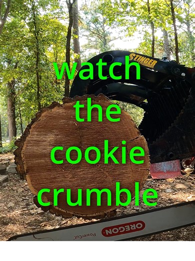 Watch How The Cookie Crumbles! #chainsaw #chainsawman #cutting #cookies