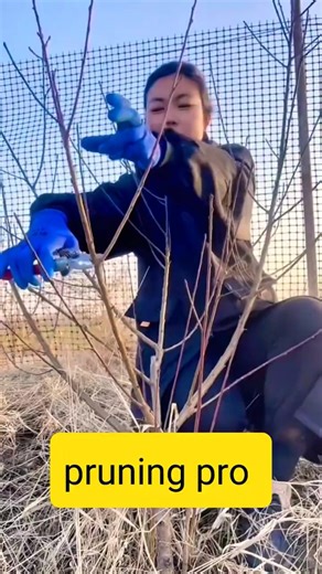 Pruning Like a Pro ✂️🌱 | Smart Tree Cutting Tips#Pruning #GardeningTips #TreeCare #PlantCare