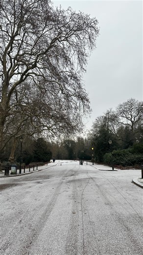 London’s first snow of 2026! A flurry of snowflake have fallen in Battersea Park, creating a magical winter wonderland ❄️ #snowday #batterseapark #londonsnow | Battersea Beat