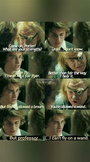 The Wand-Flying Dilemma #harrypotter