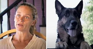 Homeless Dog Pulls Woman From Car Crash And Drags Her Over Hundred Feet To Get Help