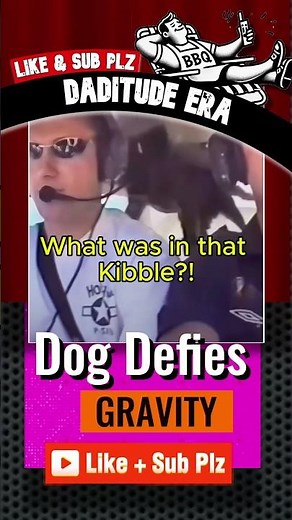 Dog Floats in Zero Gravity! (Must See Reaction!) 🐶✨! (Unbelievable!) #incredible #dogs