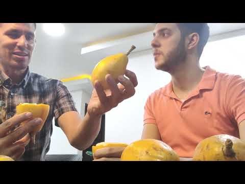 Passiflora alata Ft. Juan Miguel Elejalde