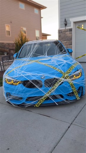 Tanek on Instagram: "Spooky season - M edition ⚠️🎃 . . . . . #bmw #bmwm3 #bmwlife #bmwf80 #bmwm #bmwlove #bmwmotorsport #bmwperformance #bmwlifestyle #bmwfamily #bmwusa #bmwm4 #bmwm5 #cencalmotorsports #cencalmotorsport #bimmerboy #bimmernation #bimmernation #halloween #pumpkin #spiderwebs #october"