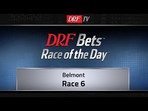 DRF Bets Wednesday Race of the Day - Belmont Race 6