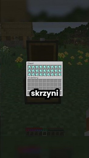 COPYING ITEMS IN MINECRAFT