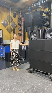 The pro line array speaker double 12inch by 3 way 👇 Pls contact me by WhatsApp number: 00 861598975916 if you want to know complete sound system well 🤝 | CAF AUDIO