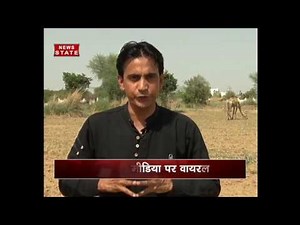 Benefits of camel milk in diabetes