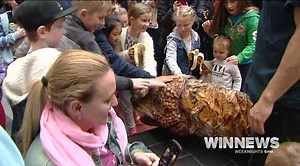 4K views · 42 reactions | Geoscience Australia has thrown open its doors to the public, to showcase the vital work it does in protecting Canberrans. It was also an occasion focused on looking towards the future, and the important role science will play. | WIN News Canberra | Facebook