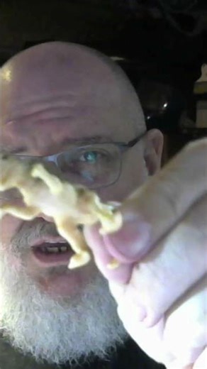 Why did Spinosaurus have Spines?