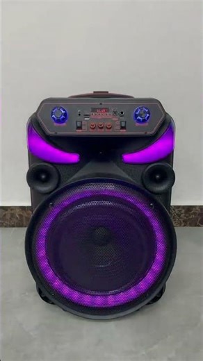 Portable Bluetooth PA Speaker System-600W 10” Indoor/Outdoor BT Speaker