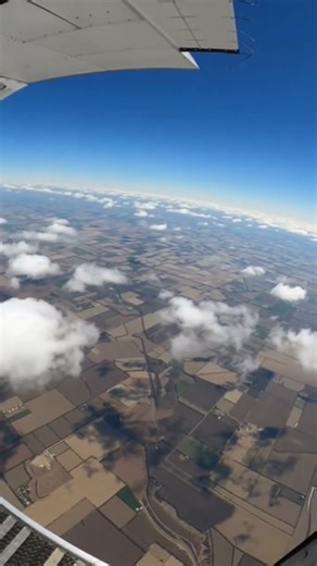 🧒🐕🪂🤯. #viral #amazing #funny #usa #parachute #adventure #aivideo #ai