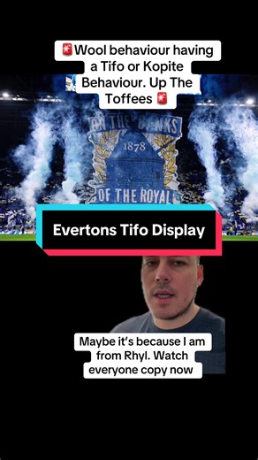 Everton's Stunning Tifo Display in Premier League