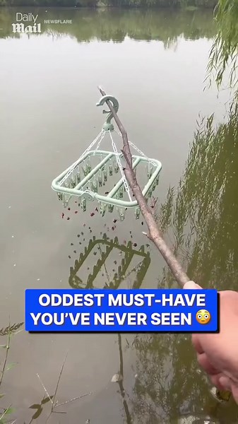 Angler uses clever rack setup to reel in multiple fish at once