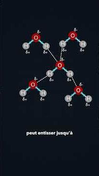 The Hydrogen Bond at the Heart of Water's Properties! #physics #chemistry #science #popularscience