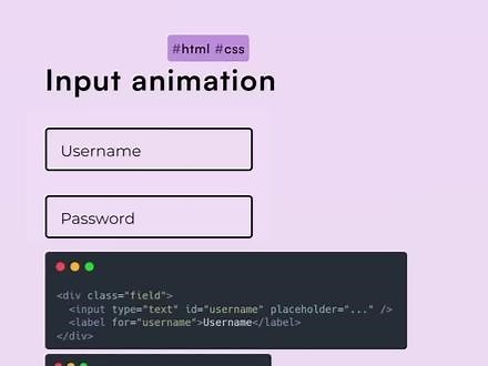 CSS输入框动画input animation#前端 #代码 #输入框 #用户名和密码 #软件开发 前端开发