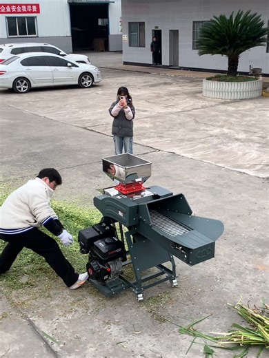 Efficient Chaff Cutter for Cattle and Sheep Farming