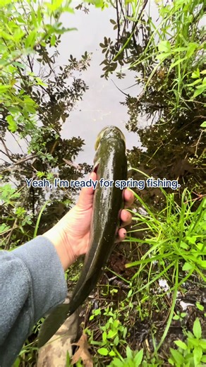 Spring Fishing Tips for Largemouth Bass