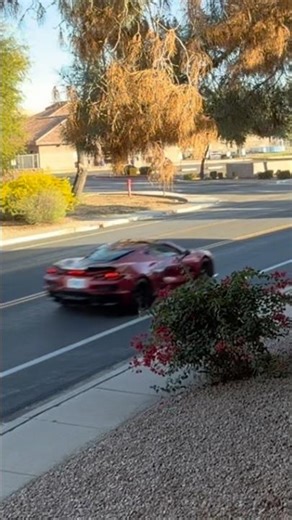Insane C8 Z06 stock exhaust sound