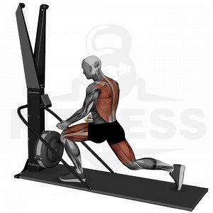 full body workout | Full workout