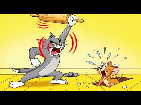 Tom &Jerry Cartoon( New Episode) New 2026!Tom Vs Jerry Funny Cartoon