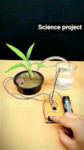 Automatic Water Tap Without Arduino uno Working Model #diy #shorts #viralvideo #experiment