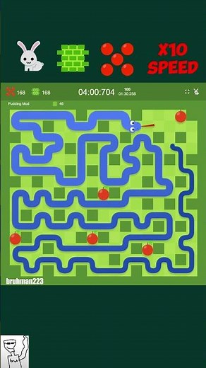 Google Snake World Record Timelapse