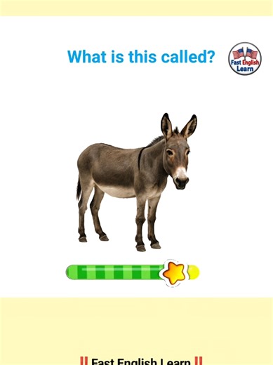 Master Your English Vocabulary Daily