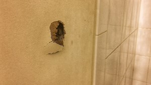 Md. man accidentally shoots into neighbor's townhouse while cleaning gun