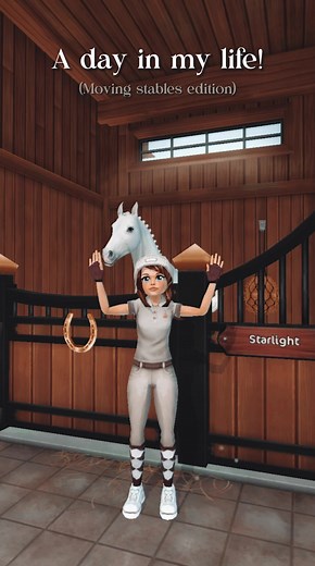 Looking for a Dressage Horse: Settling in at the Stables