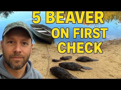 Beaver Trapping Adventure in Michigan’s U.P. | My Best Catch Yet!