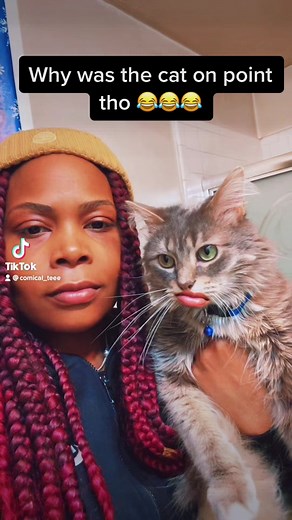 He hip 🐈‍⬛ #rio #comical