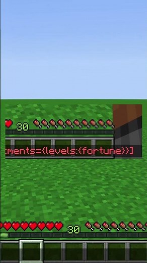 How To Get Fortune 1000 in Minecraft 1.21 💎 #shorts