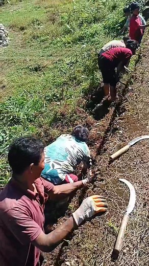 32 reactions | Community Cleanliness Drive under MGNREGA  Today,...