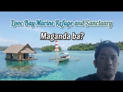 Romblon Unlock 🔓Looc Bay Marine Refuge and Sanctuary