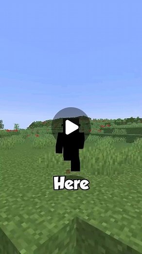 The Swimming Enderman on Instagram: "This is so cool Credits: robbehy on tt #minecraft #meme #minecraftdaily #minecrafter #minecraftjava #minecraftmeme #minecraftvideo"