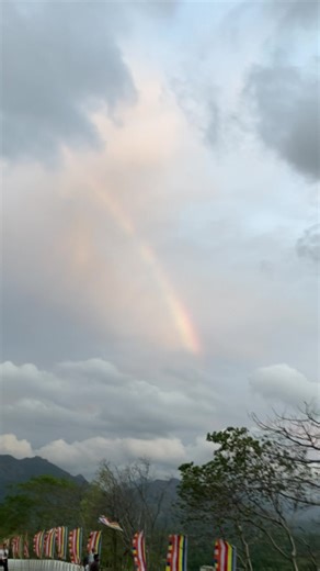 Rainbow visible from the top of Dambulla Rock Cave Temple, Sri Lanka 🇱🇰 #dambulla #srilanka #dambullacavetemple #rainbow #nature