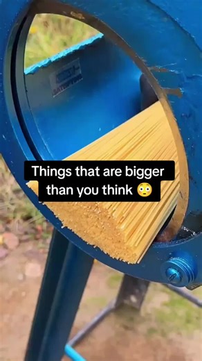 Things Bigger Than You Imagine: Whale Hearts, Trucks & More